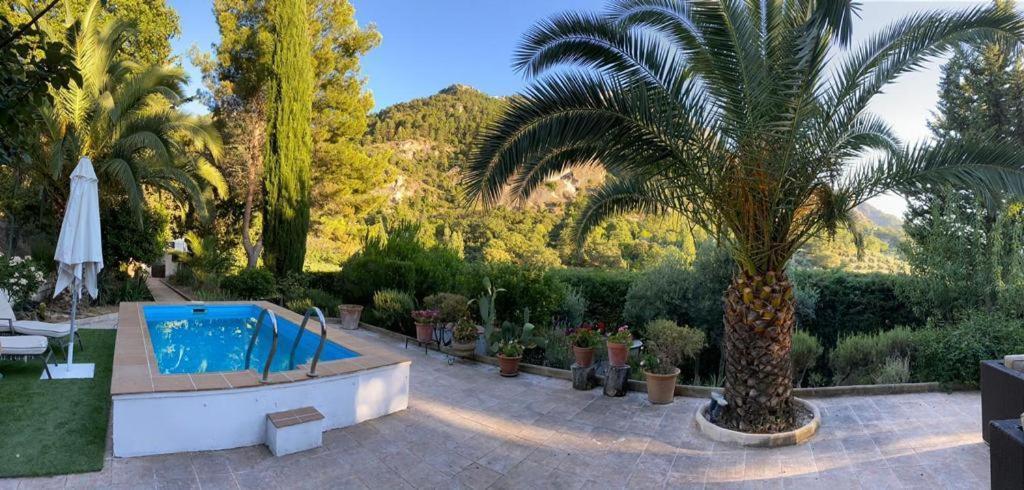 Nueva Cazorla Mirador Cerro Del Escribano Villa La Iruela Exterior foto
