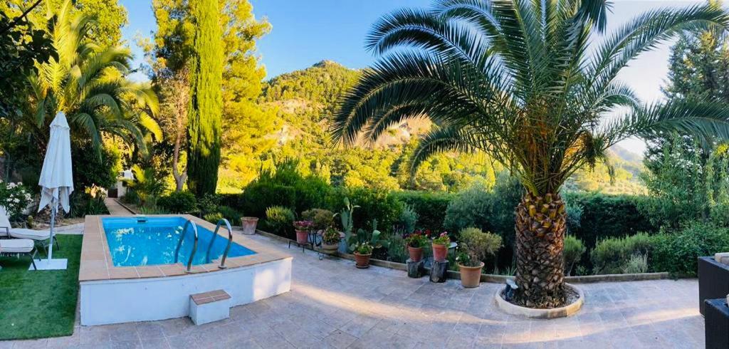 Nueva Cazorla Mirador Cerro Del Escribano Villa La Iruela Exterior foto